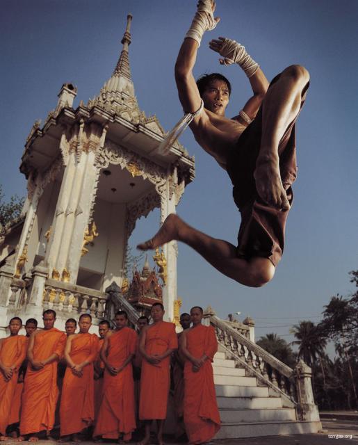 Tonyjaa_06