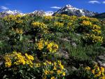 mountains_010
