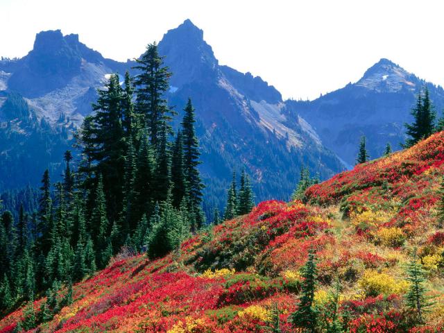 mountains_012