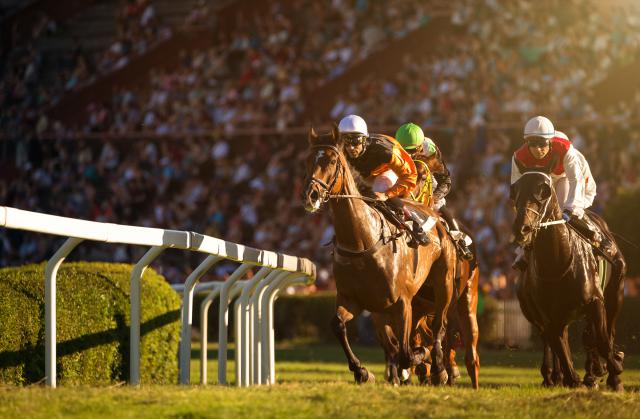 horse_racing_13