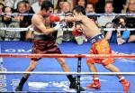 hoya_pacquiao17