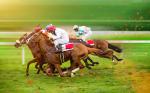 horse_racing_15