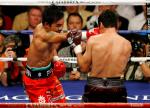 hoya_pacquiao40