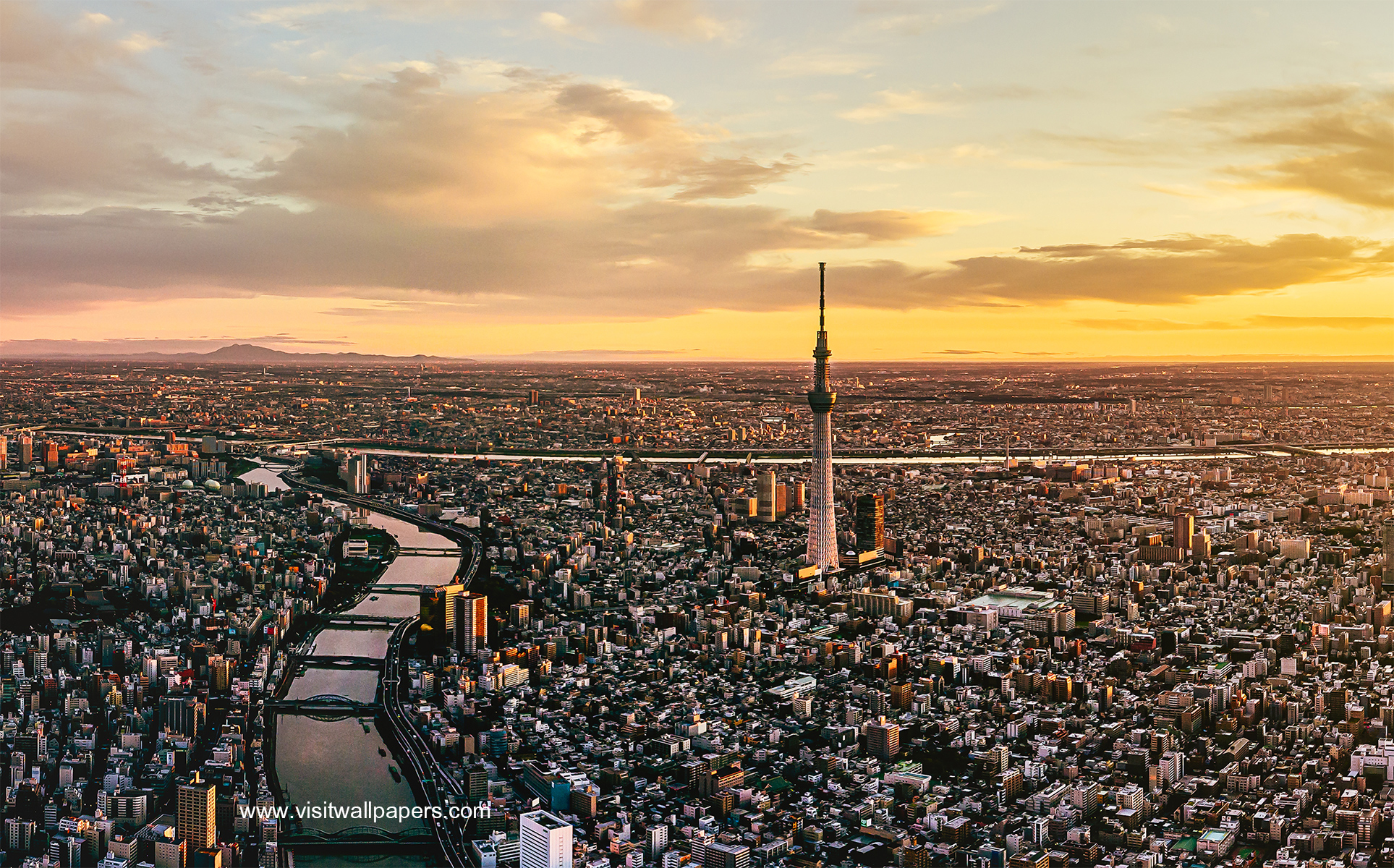 Aerial_view_577
