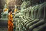 temple_355