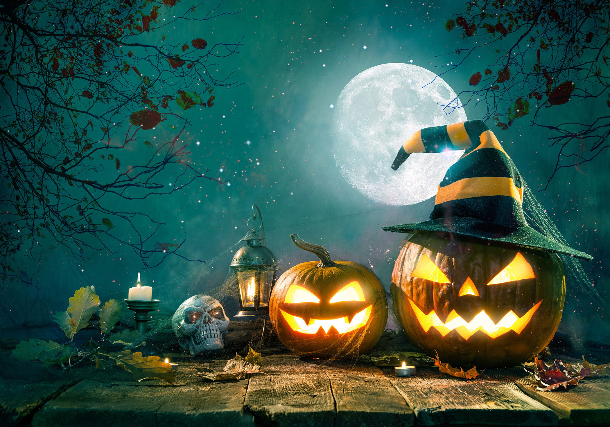 Pumpkin_23