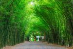 thailand_757