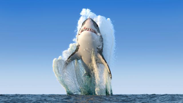 ocean-life-772