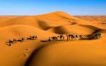 Desert_148