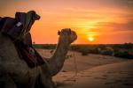 Desert_150