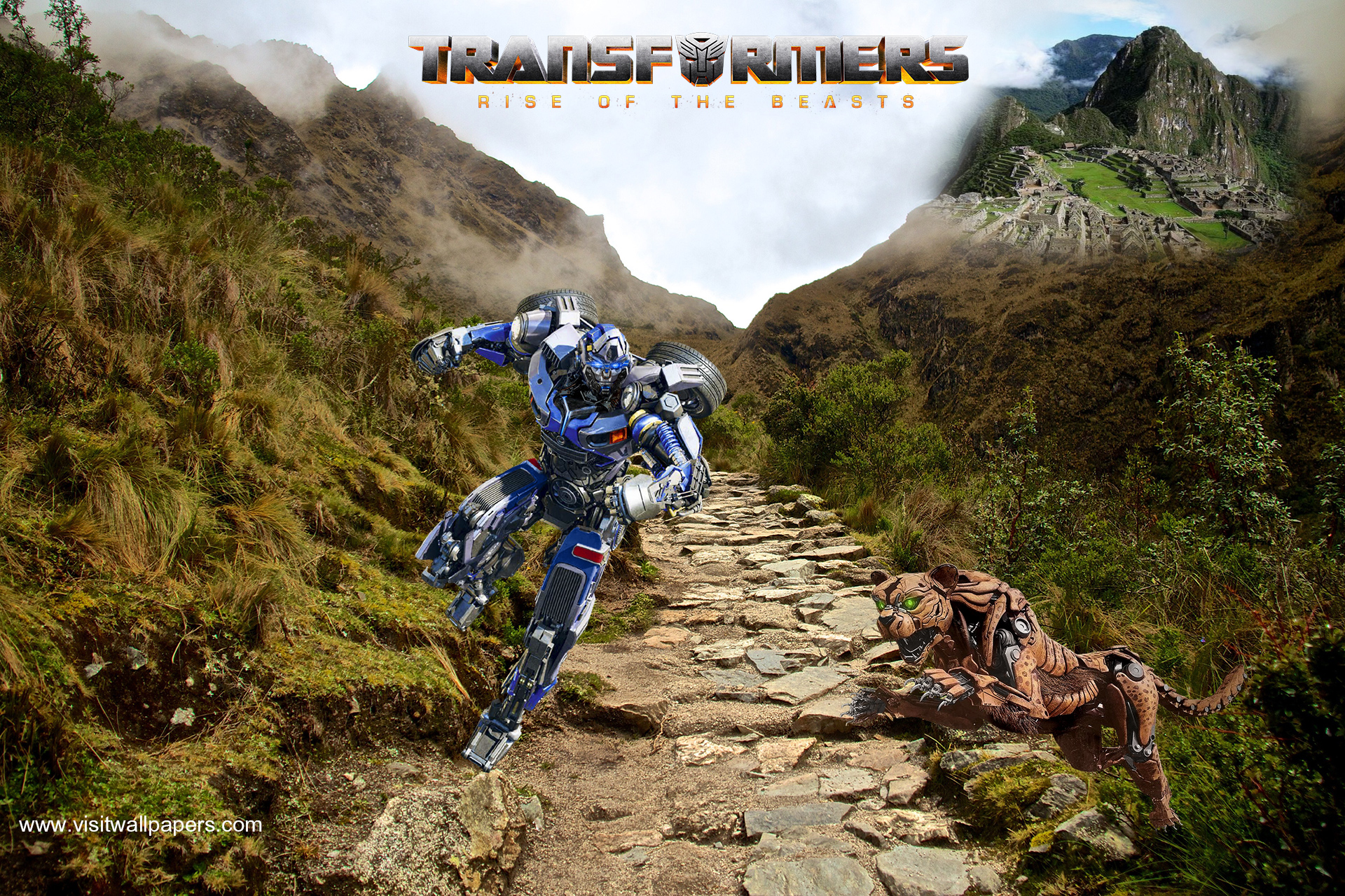transformers226