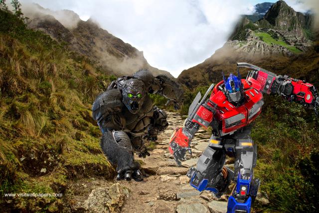 transformers231