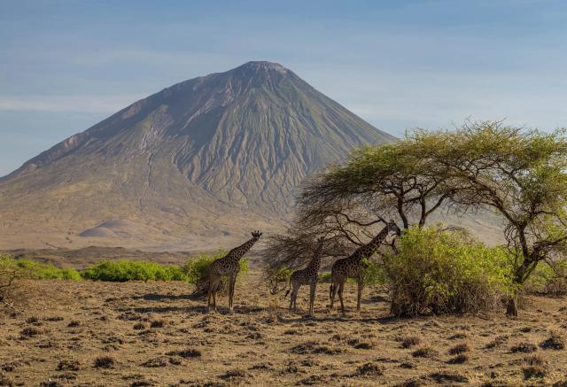 africa_180