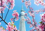 Japan_220