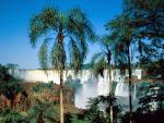 waterfalls_040