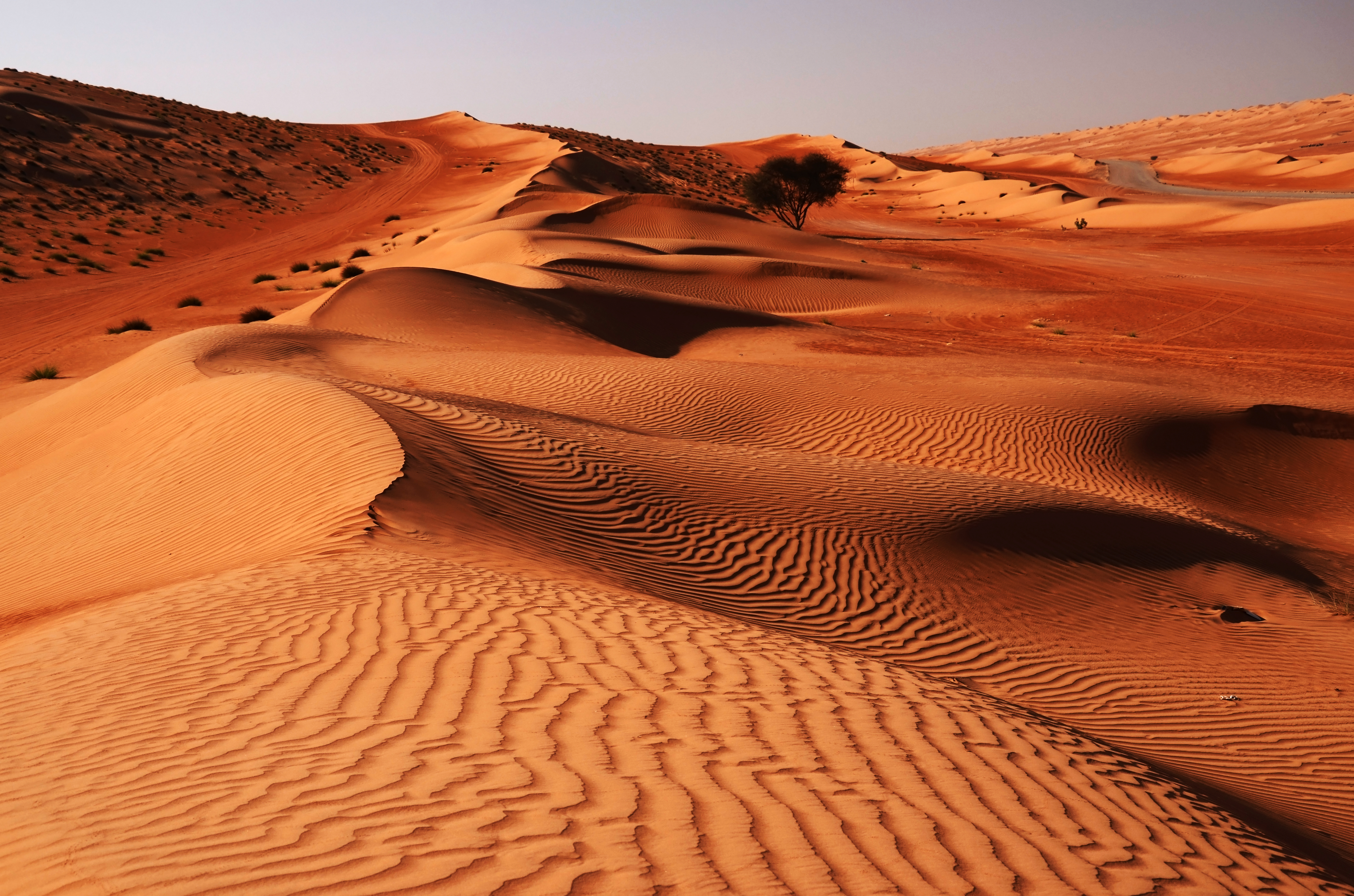 Desert_166