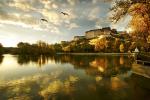 china_982