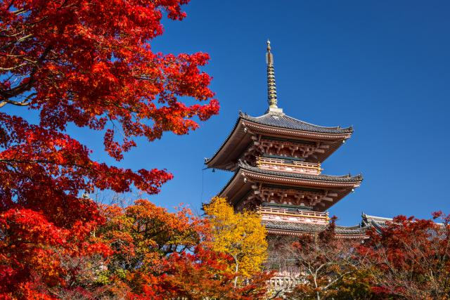 Kiyomizu_Temple_23