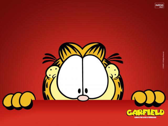 Garfield_02