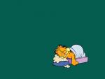 Garfield_13