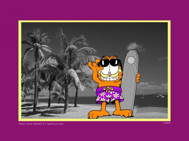 Garfield_18
