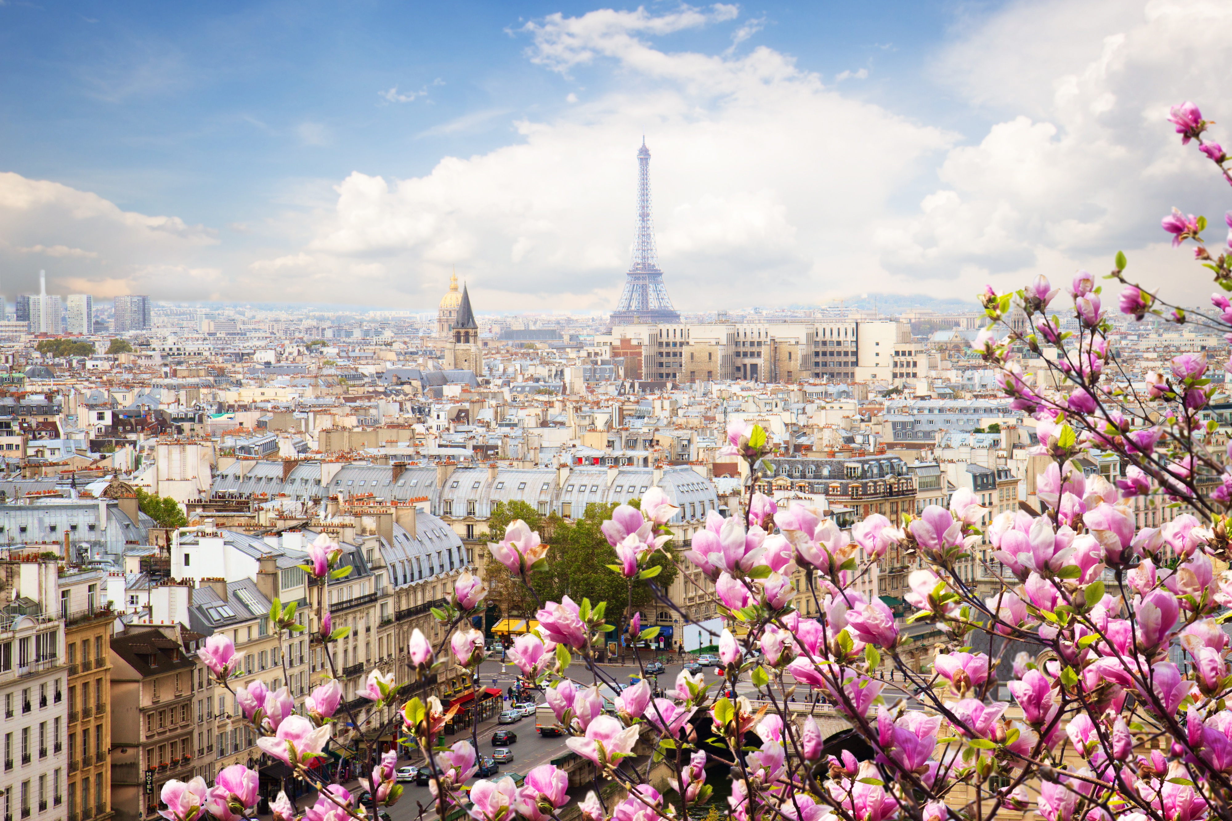 France_500