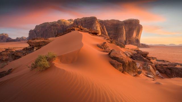 Desert_174