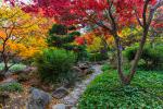 Garden_055