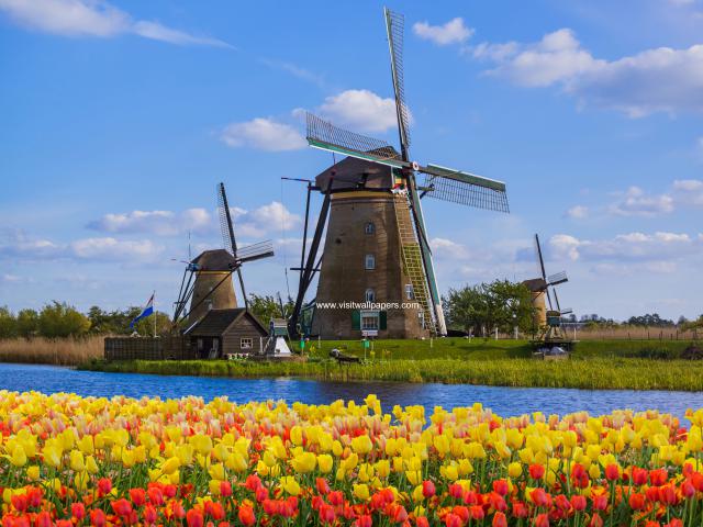 Windmill_109