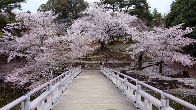 Japan_269