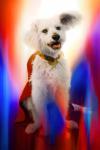 superman_07