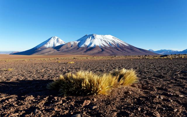 Desert_185
