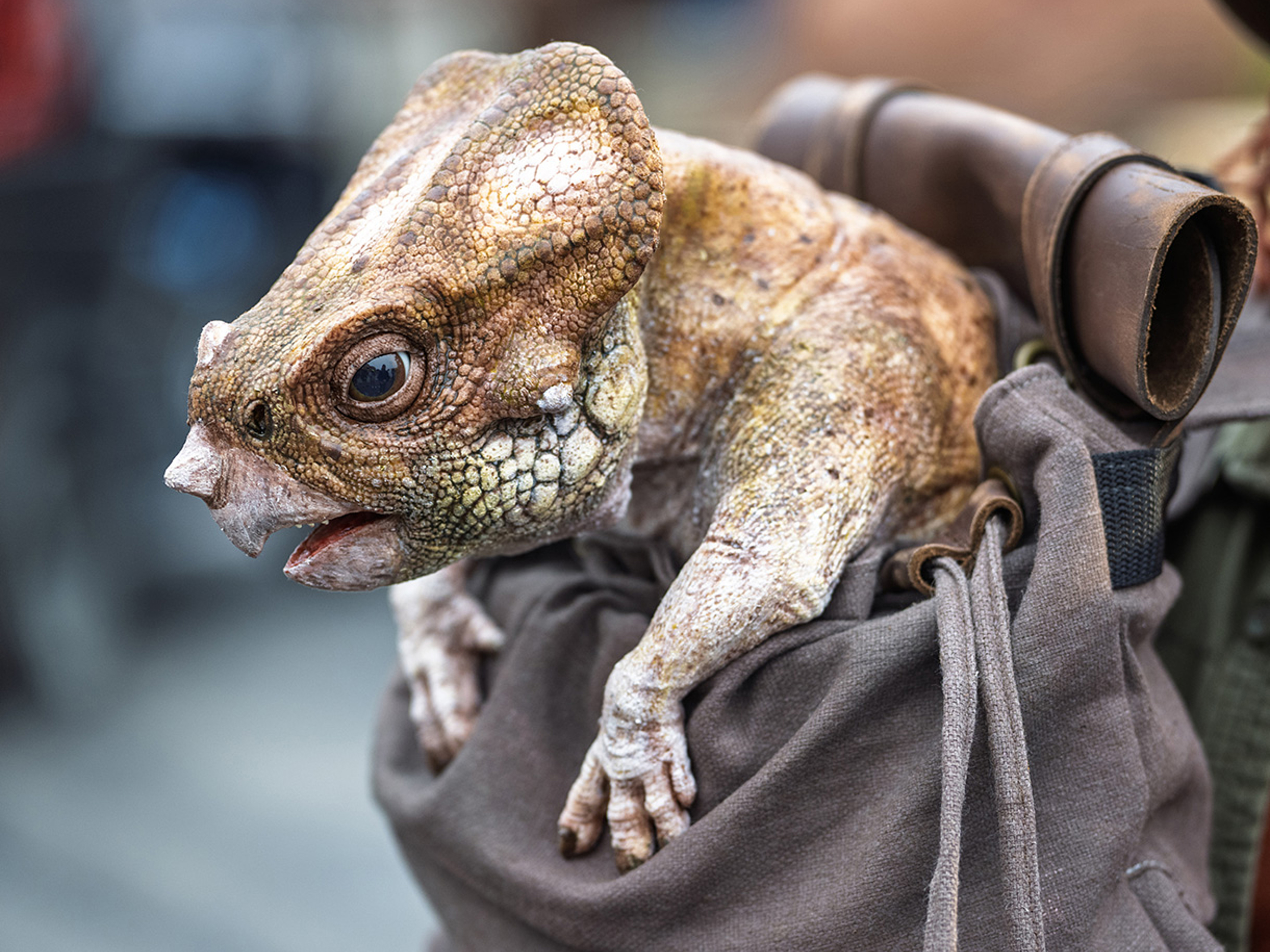 jurassic_world_rebirth_79