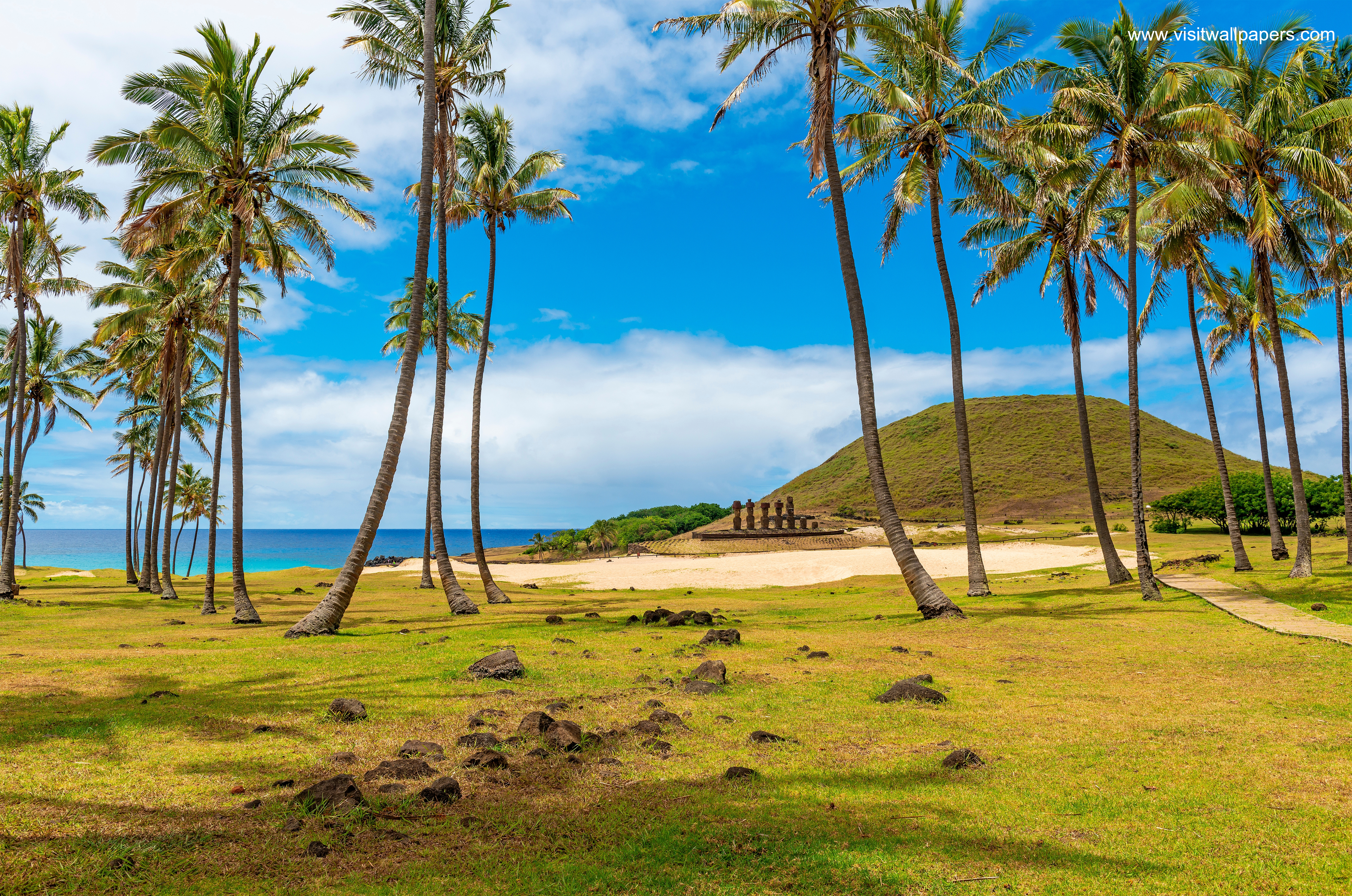 moai_stone_statues_64