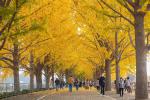 south_korea_38