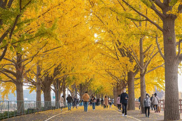 south_korea_38
