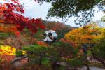 south_korea_39