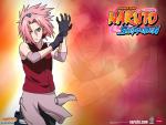 Naruto_278