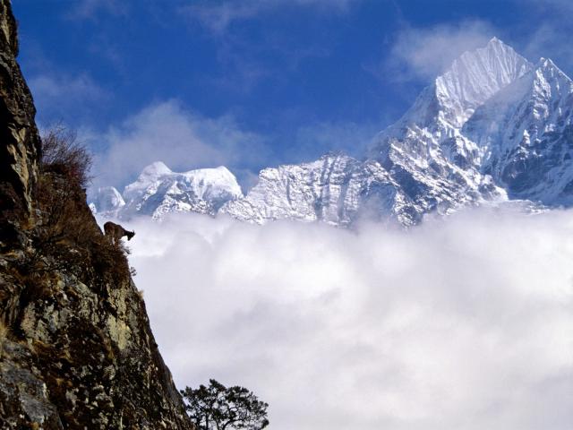 mountains_152