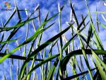 windows_7_022