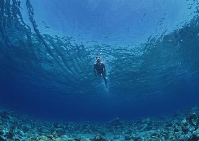 ocean-life-109