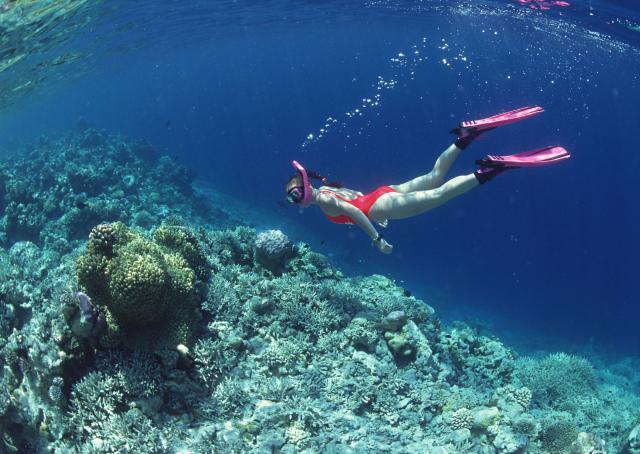 ocean-life-114