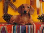 dog_109
