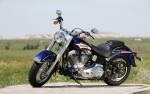 Harley_038