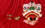 cn_newyear09_053