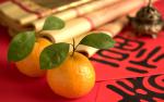 cn_newyear09_058