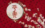 cn_newyear09_060
