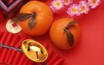 cn_newyear09_068