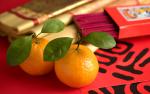cn_newyear09_072