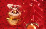 cn_newyear09_087